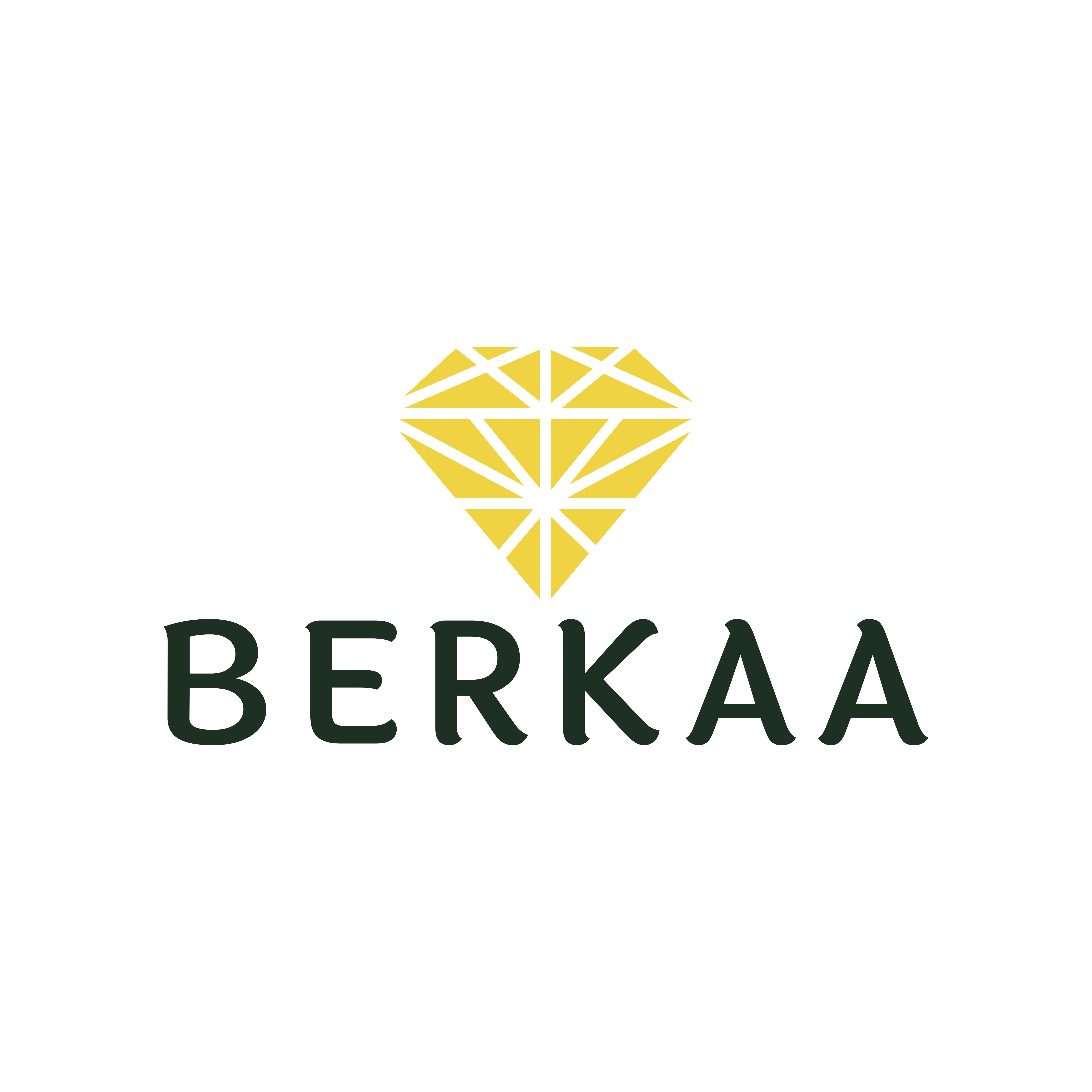 Berkaa Jewelry