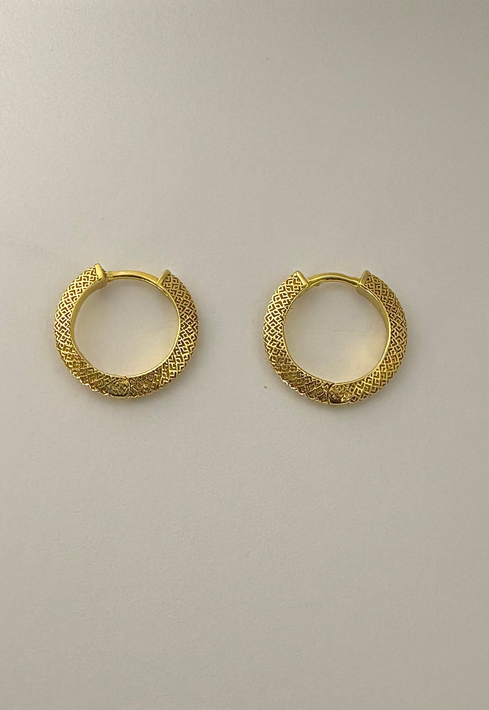 Hoop Earrings